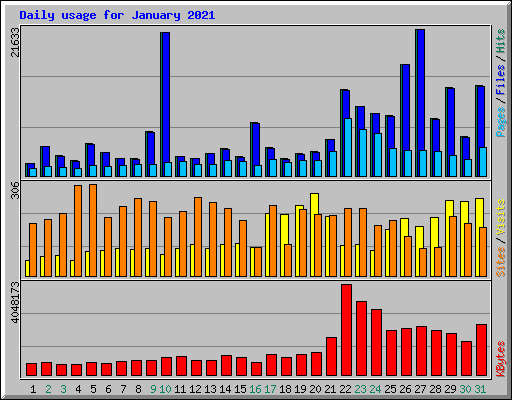 Daily usage for January 2021