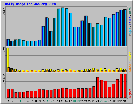 Daily usage for January 2025