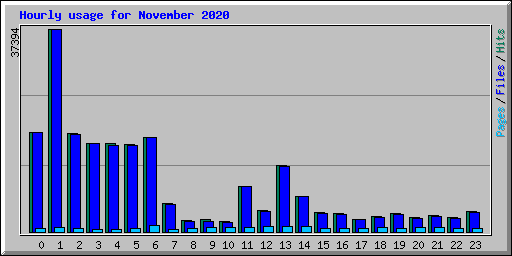 Hourly usage for November 2020
