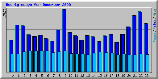 Hourly usage for December 2020