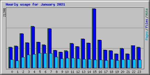 Hourly usage for January 2021