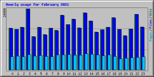 Hourly usage for February 2021