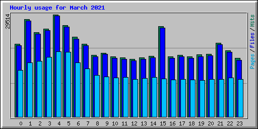 Hourly usage for March 2021
