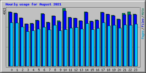 Hourly usage for August 2021