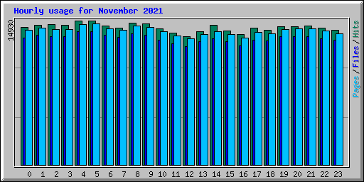 Hourly usage for November 2021