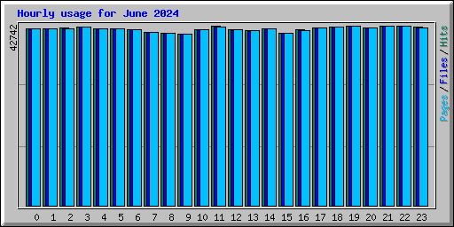 Hourly usage for June 2024