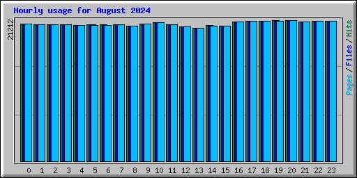 Hourly usage for August 2024