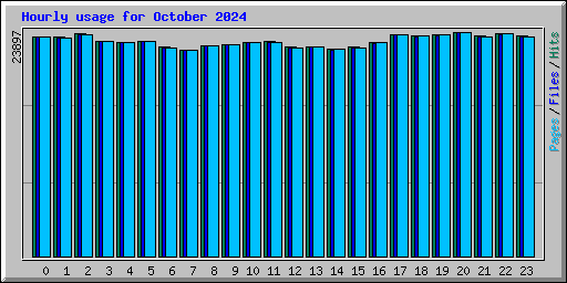 Hourly usage for October 2024