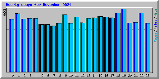Hourly usage for November 2024