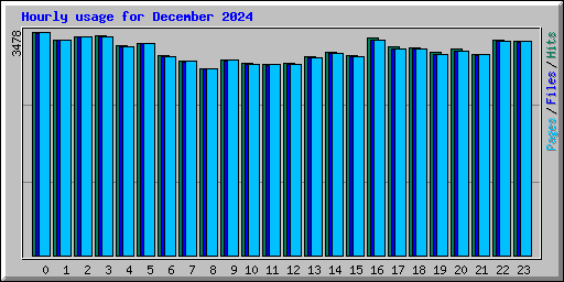 Hourly usage for December 2024