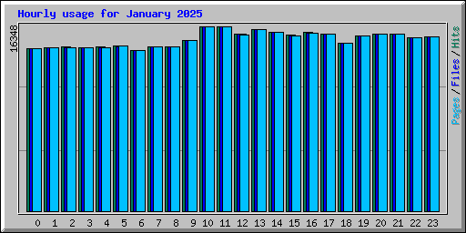 Hourly usage for January 2025