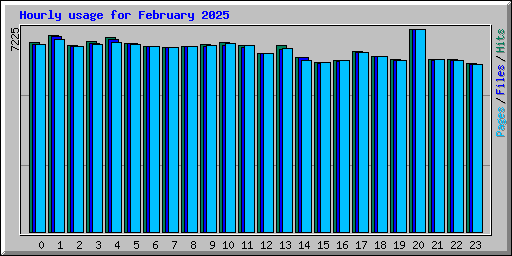 Hourly usage for February 2025