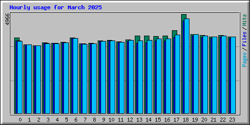 Hourly usage for March 2025