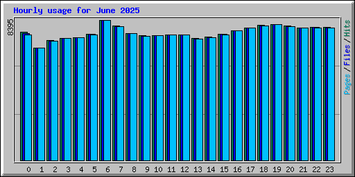 Hourly usage for June 2025