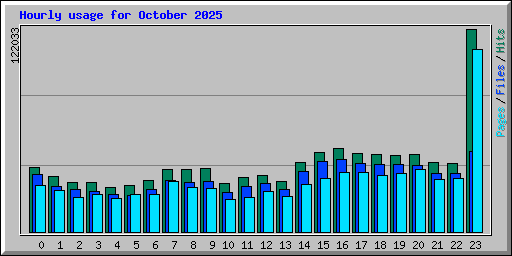 Hourly usage for October 2025