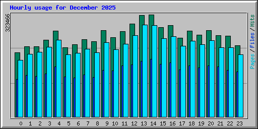 Hourly usage for December 2025