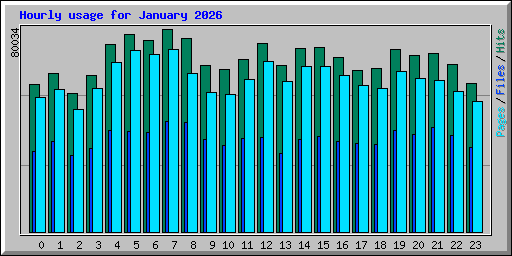 Hourly usage for January 2026