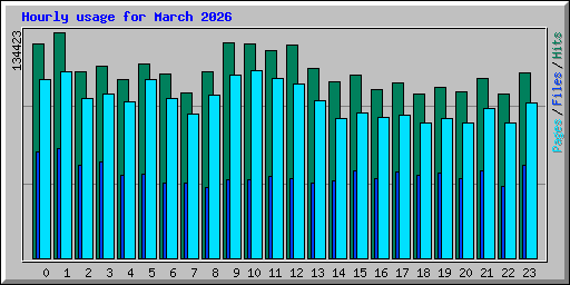 Hourly usage for March 2026