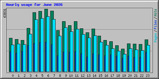 Hourly usage for June 2026