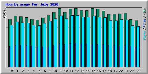 Hourly usage for July 2026